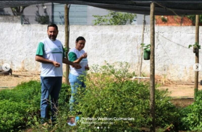 Ilustração da notícia Horta no CMEI incentiva alimentação saudável e educação ambiental em Alcinópolis